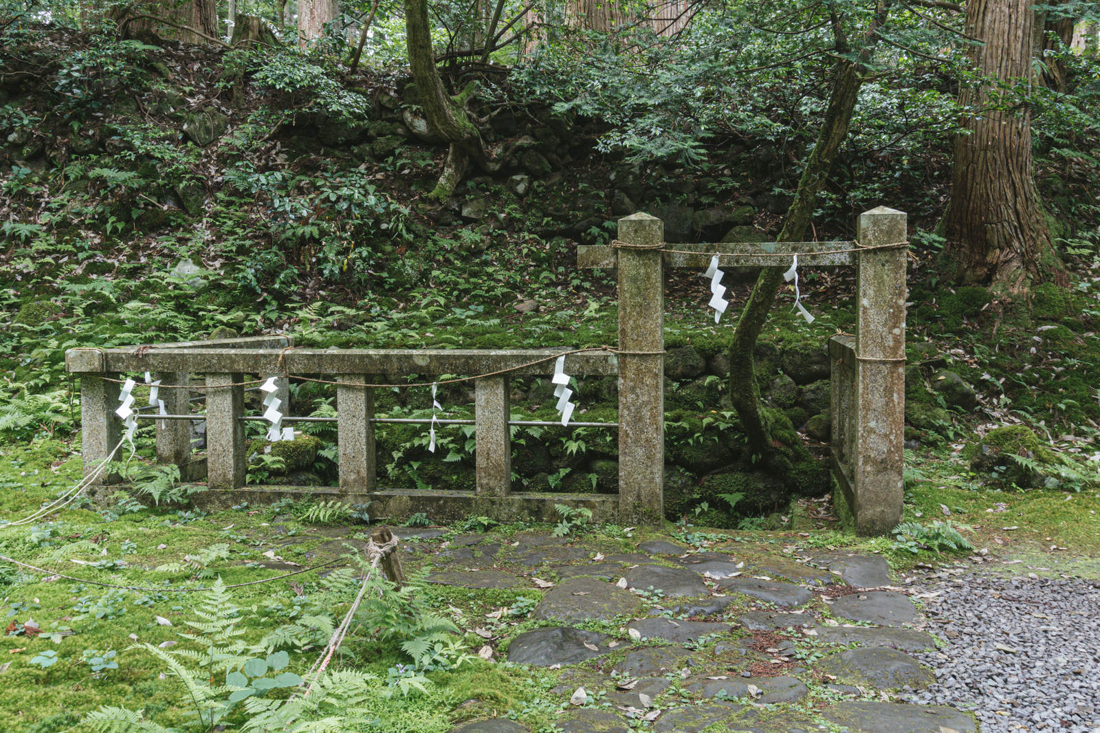 平泉寺白山神社の御手洗池入り口付近にある玉垣で囲まれた神聖な場所