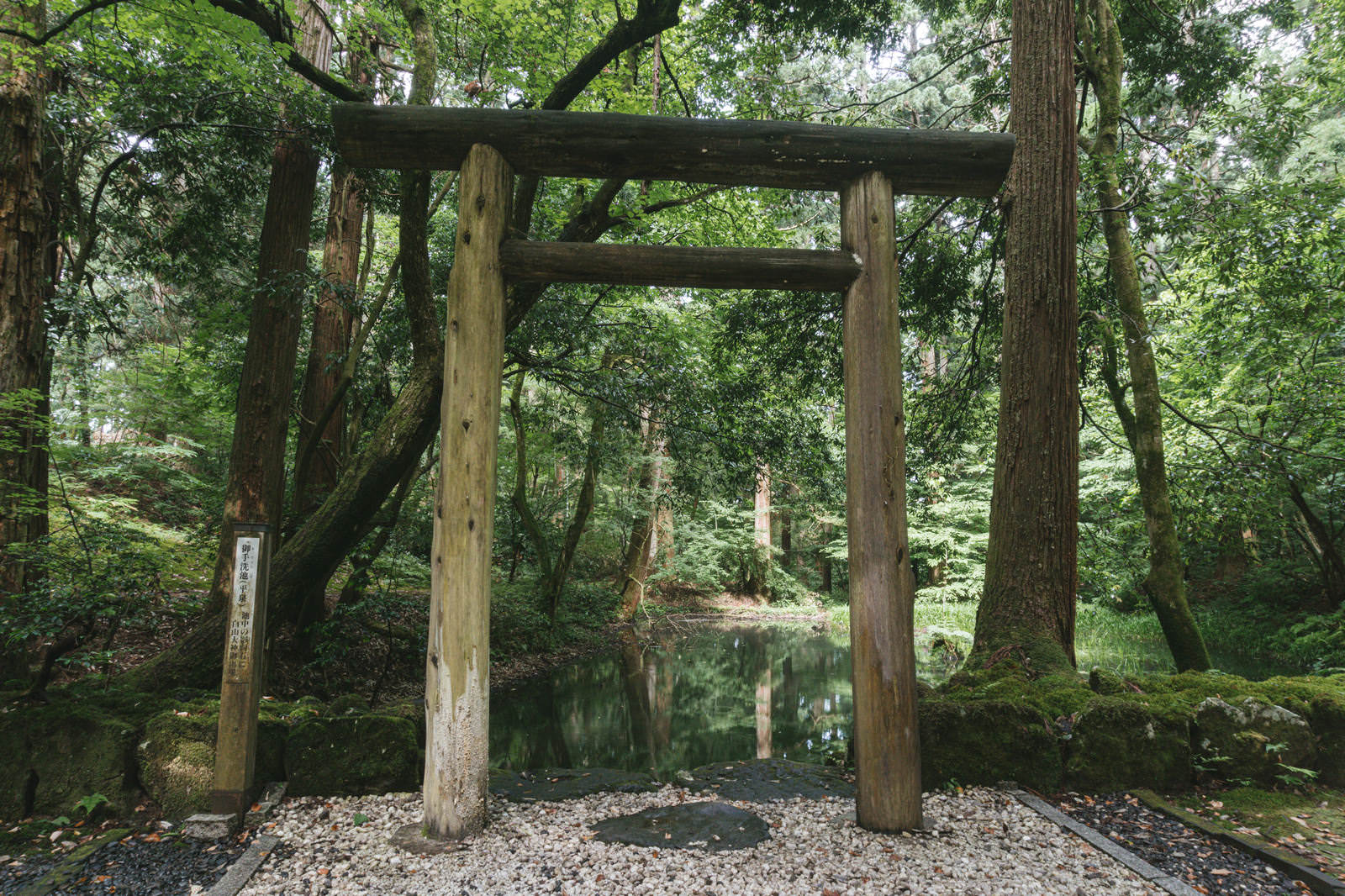 御手洗池の畔に立つ木製の鳥居越しに見える静かな池の風景