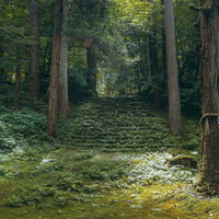 御手洗池の近くに立つ平泉寺白山神社を開いた泰澄大師が約千二百数十年前御手植の御神木と奥に見える石段の写真