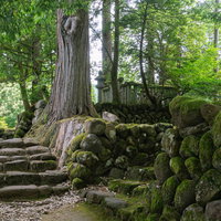 参道から覗き見た開祖泰澄大師廟の写真