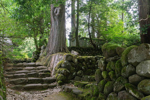 参道から覗き見た開祖泰澄大師廟