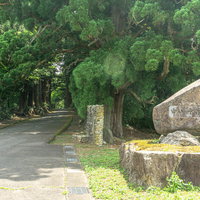 平泉寺白山神社参道入り口の下馬の大橋付近から見る「白山平泉寺旧境内」の石碑と鬱蒼と繁る菩提林の写真