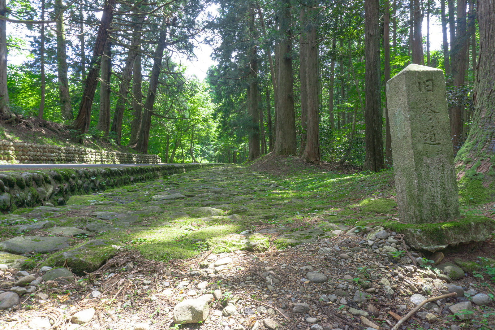 苔に覆われた古い石畳の参道が森の中を続く平泉寺白山神社の旧参道