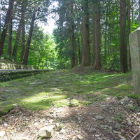 約1000年前に九頭竜川から三千人の僧侶が手送りで運び整備したという旧参道の石畳の写真