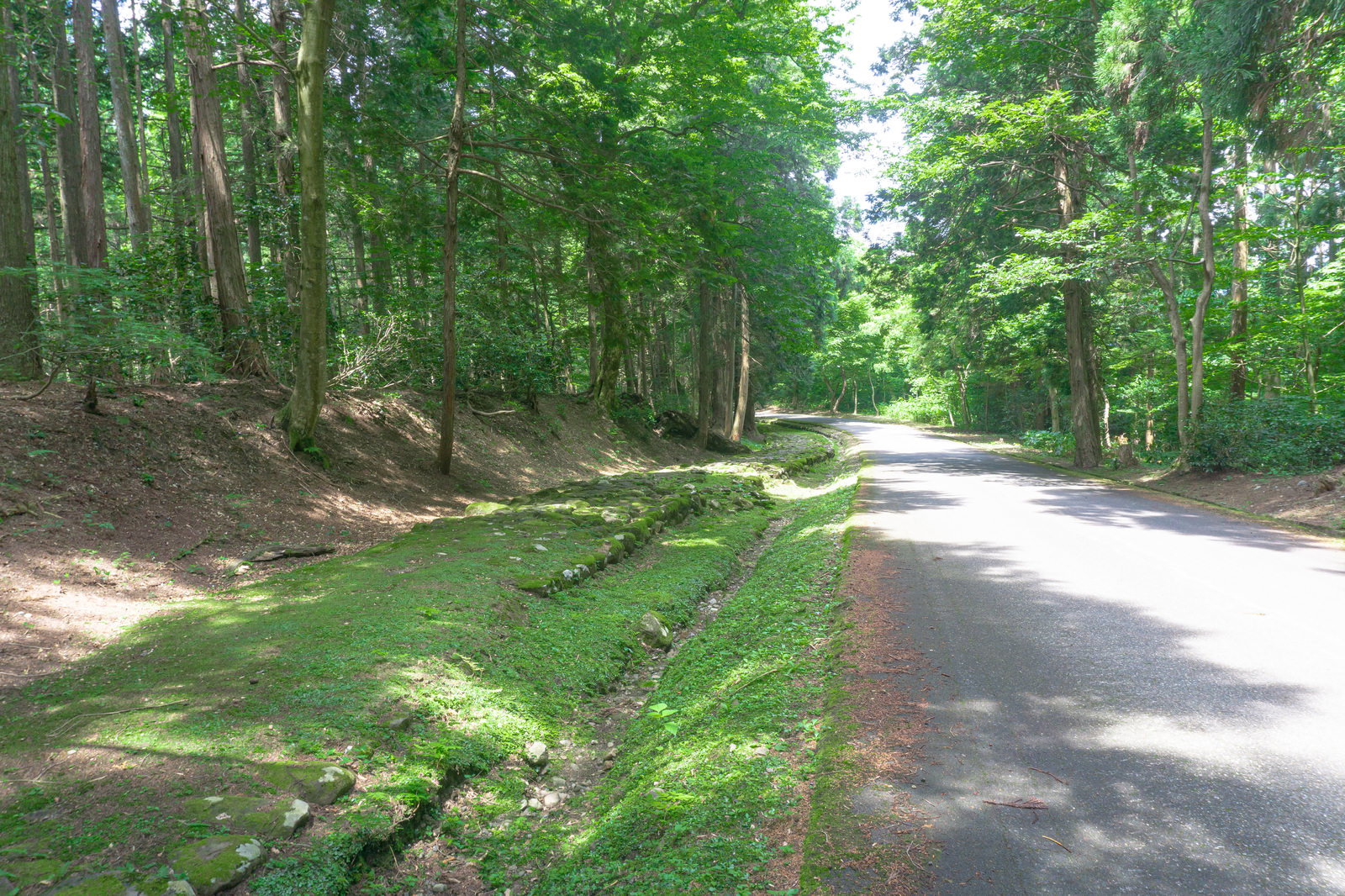 平泉寺白山神社の境内にある苔むした石畳の参道と車道
