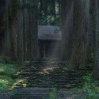 木漏れ日に所々光る三の宮に向かう石段の写真