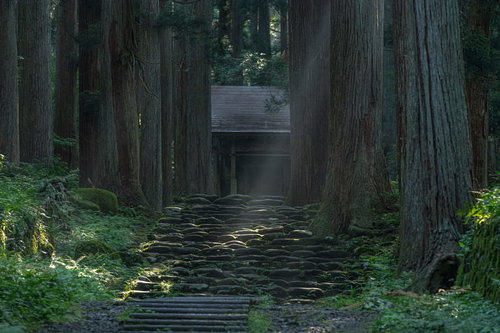 木漏れ日に所々光る三の宮に向かう石段