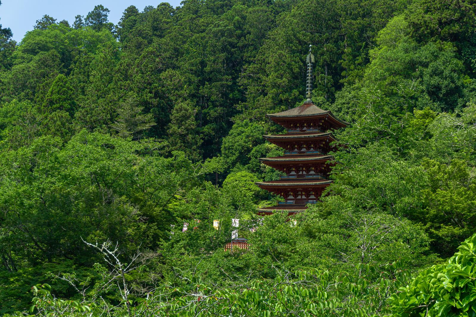 新緑の山に囲まれた長谷寺の五重塔