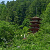 新緑の中に映える美しい五重塔の写真