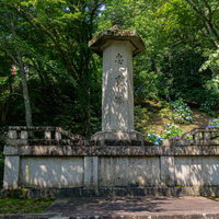 背後の山肌にちらほらと紫陽花が見える初夏の長谷寺の忠霊塔の写真