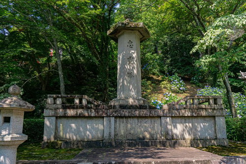 背後の山肌にちらほらと紫陽花が見える初夏の長谷寺の忠霊塔