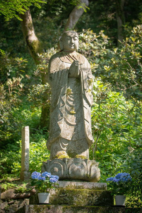 足元に紫陽花の鉢植えが飾られた長谷寺の石仏