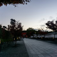 白み始めた東の空とまだ灯りが残る伏見稲荷大社の石畳参道の写真