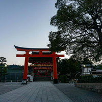 石畳の先、背後からの薄っすらとした朝の気配の中に建つ二番鳥居とその先に見える楼門の写真