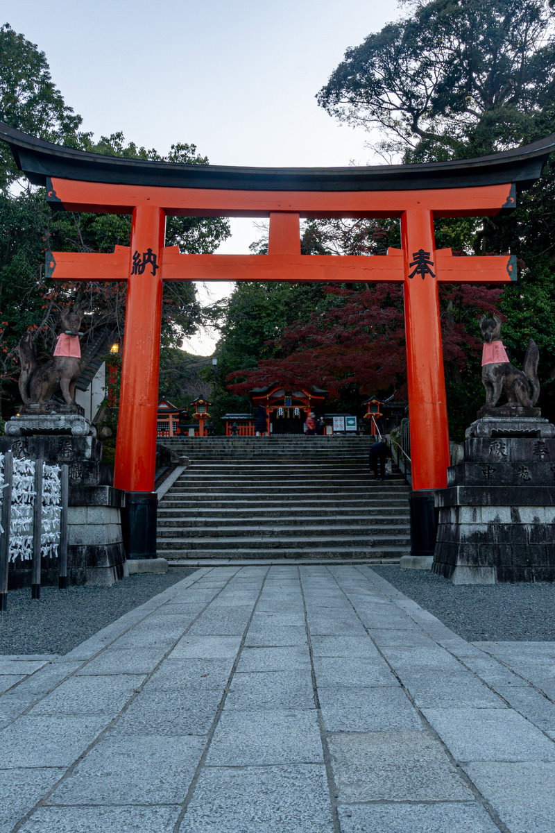 伏見稲荷大社の朱色の鳥居と石段、両脇に置かれた狛犬