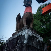 上から見下ろす巻物を咥えた狛狐の写真