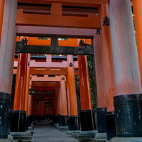 千本鳥居、奥社へと続く鳥居の参道の起点付近の写真