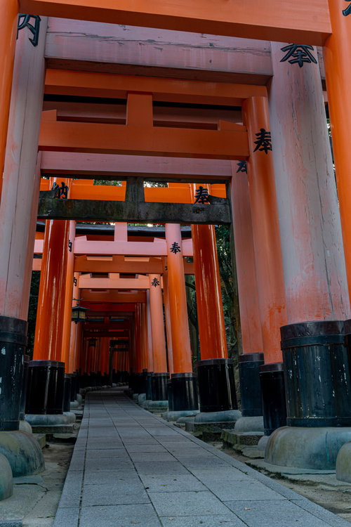 千本鳥居、奥社へと続く鳥居の参道の起点付近