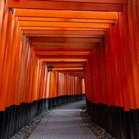 千本鳥居の朱色のトンネルの写真
