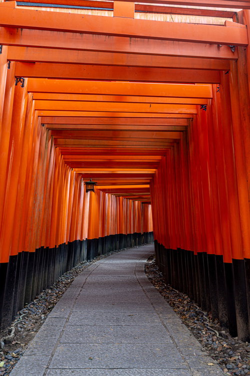 千本鳥居の朱色のトンネル