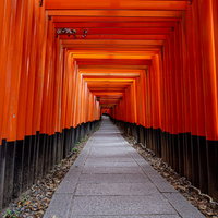違う世界へ続くかのような雰囲気の千本鳥居の石畳の写真