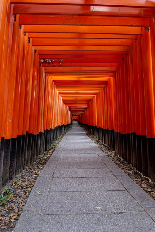 違う世界へ続くかのような雰囲気の千本鳥居の石畳