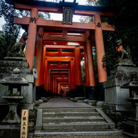 奥社北側にあるお山めぐり入り口から始まる鳥居の連なりと根上りの松の案内の写真