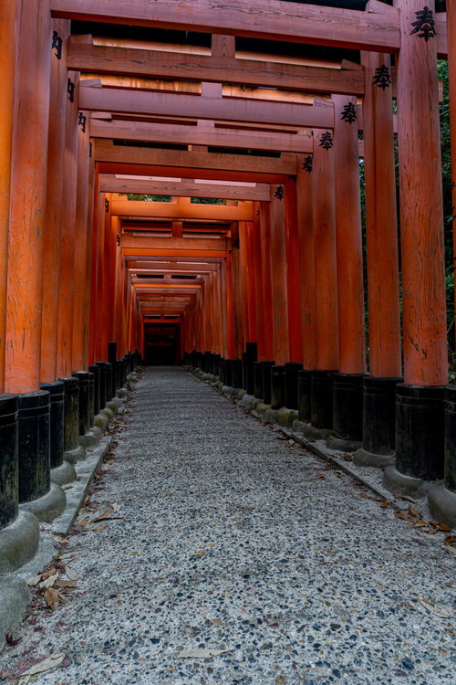 奥社から能鷹社へと向かう鳥居の道