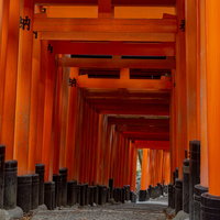 下り坂に立ち並ぶ朱色の鳥居の写真