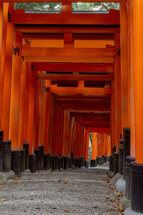 下り坂に立ち並ぶ朱色の鳥居