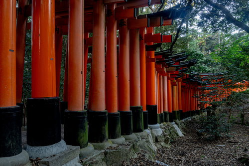 連なる鳥居を外側から眺める