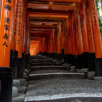 階段の先がほのかに明るい鳥居が続く道の写真