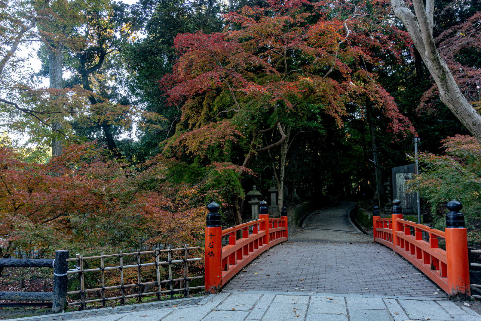 秋の紅葉に囲まれた伏見稲荷大社の十石橋、朱色の欄干と色鮮やかなもみじ