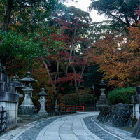 それぞれ鍵と玉を咥えた狛狐の立つ石畳を彩る紅葉の写真