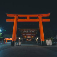 夜間ライトアップされた朱色の大鳥居と石畳の参道の写真