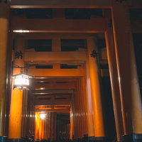 どこまでも続く伏見稲荷の鳥居の写真