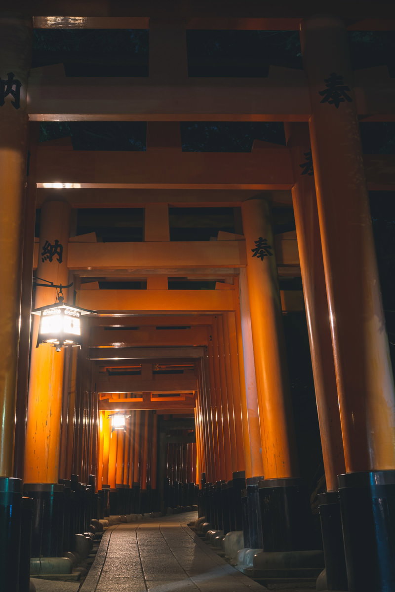 伏見稲荷大社の夜の鳥居参道