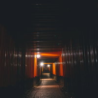 暗がりに照らされた鳥居の写真