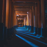 立ち並ぶ鳥居の足元に放射状に延びる光の写真