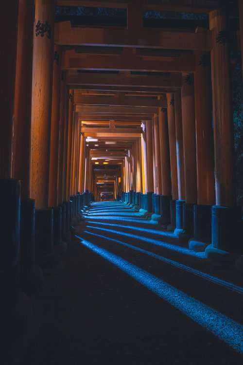 立ち並ぶ鳥居の足元に放射状に延びる光