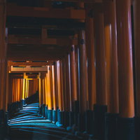 差し込む光が模様を描く鳥居が続く道の写真