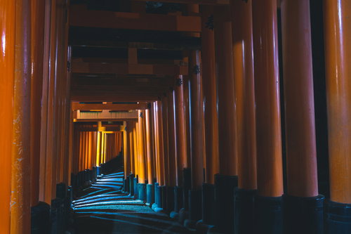 差し込む光が模様を描く鳥居が続く道