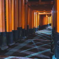 立ち並ぶ鳥居の合間から射しこむ光が描く幾何学模様の写真