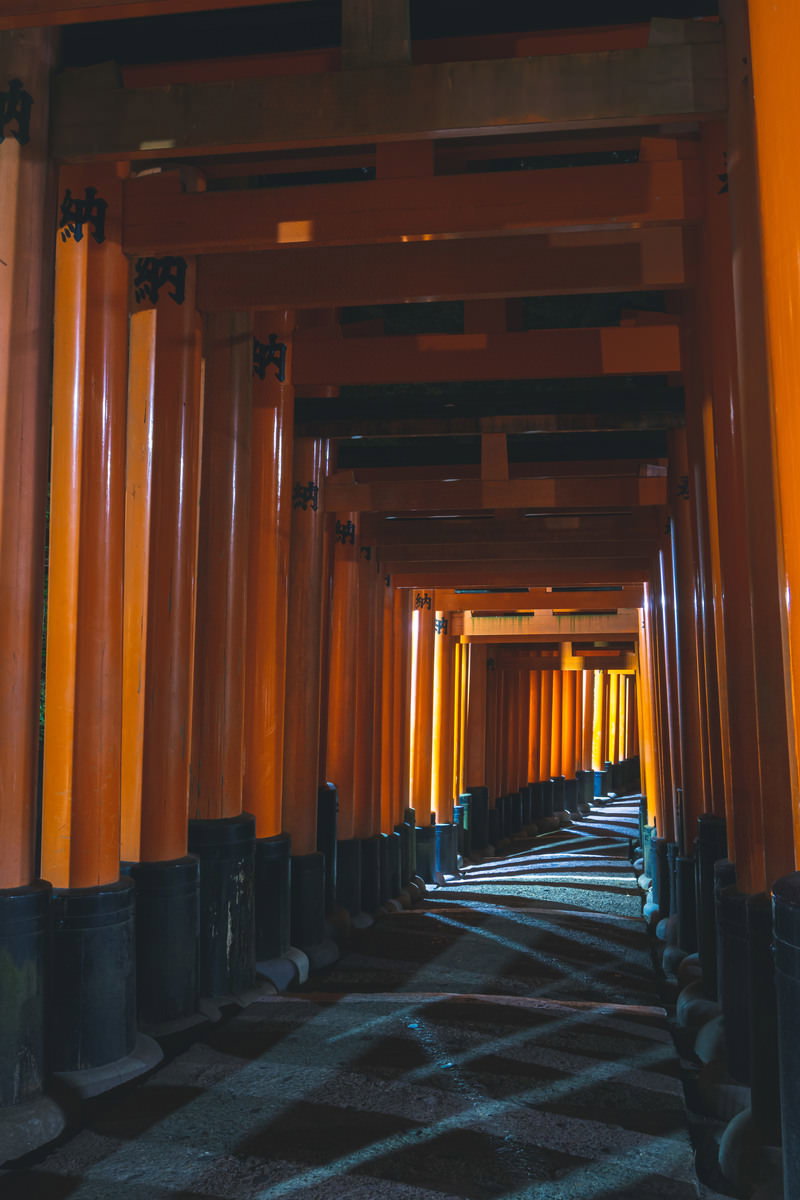 夜の伏見稲荷大社の千本鳥居