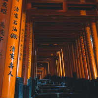 鳥居が並ぶ石段の写真