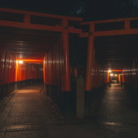 灯篭の灯りに照らされしっとりと輝く千本鳥居の石畳と朱色が美しい鳥居の写真