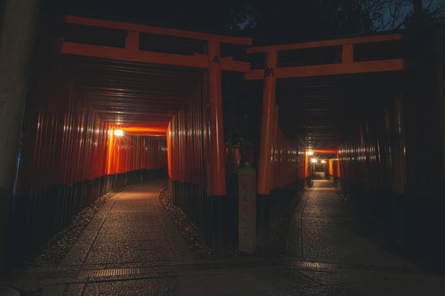 灯篭の灯りに照らされしっとりと輝く千本鳥居の石畳と朱色が美しい鳥居