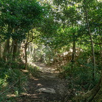 雄島の遊歩道の写真