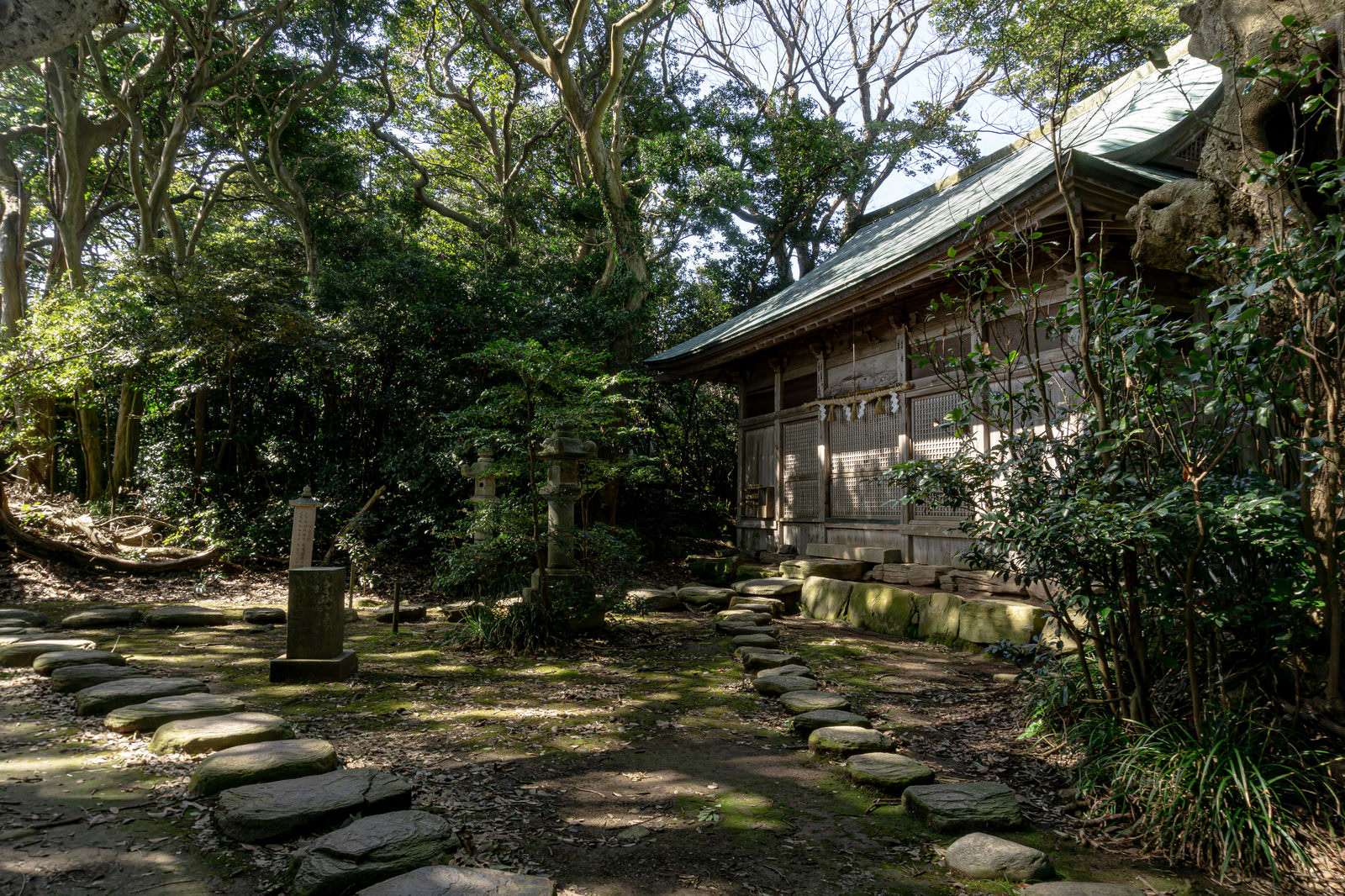 大木に囲まれた参道から見た大湊神社の拝殿。石段に苔が生し、木漏れ日が降り注いでいる