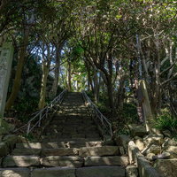 木々に囲まれた大湊神社へと続く石段と脇に建つ社号標の写真